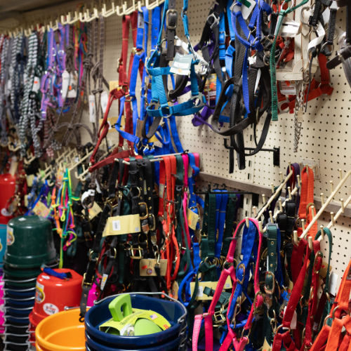 Supplies on display inside of Metcalf's Trading Post