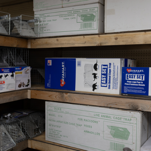 Supplies on display inside of Metcalf's Trading Post