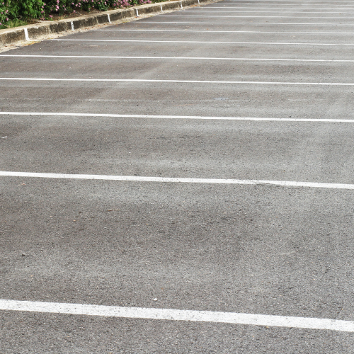 Empty parking lot with evenly spaced white lines on gray asphalt. A row of pink flower bushes lines the curb, conveying a calm and orderly feel.