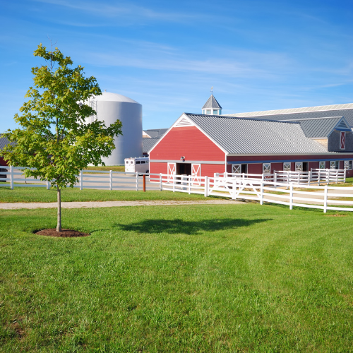 A vivid rural farm scene featuring a red barn with a gray roof, white fences, lush green grass, a small tree, and a clear blue sky overhead.